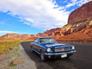 Jane at Capitol Reef National Park